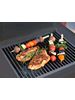 esse garden stove bbq